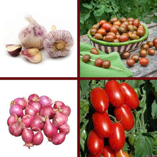 Hành tỏi - Hợp Tác Xã Rau Sạch Nguyễn Minh